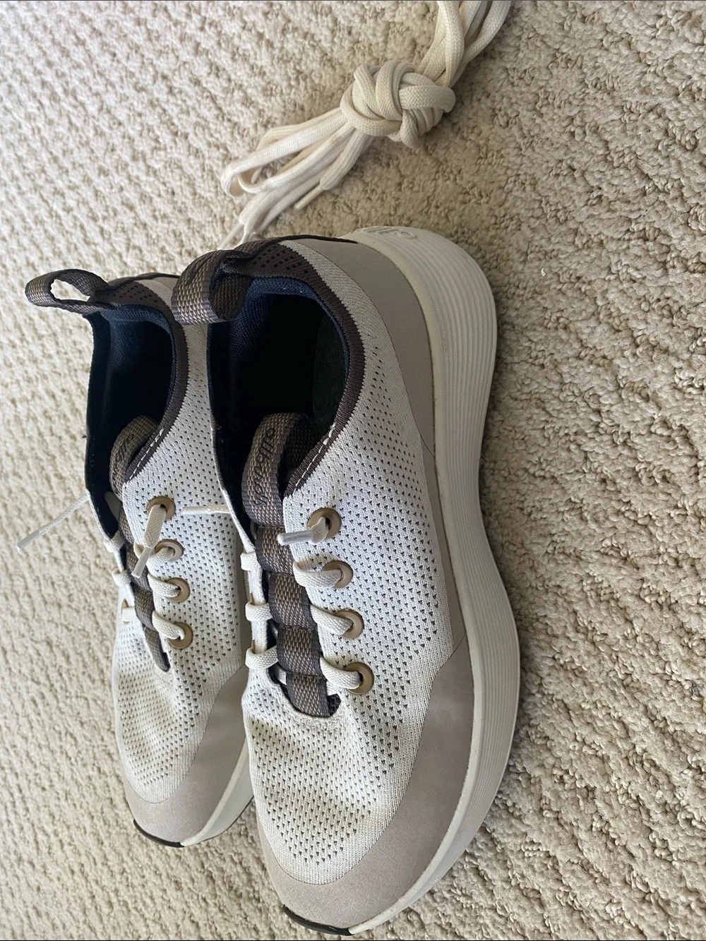 Allbirds